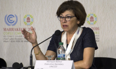 Monique Barbut, à la Conférence de l'ONU sur le changement climatique, en 2016, à Marrakech ( AFP / FADEL SENNA )