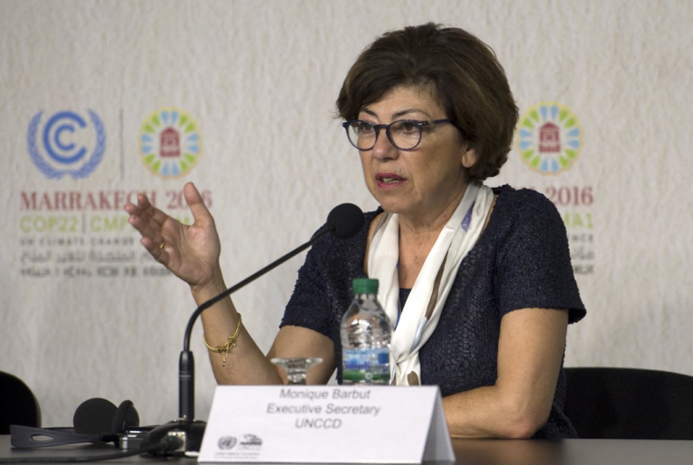 Monique Barbut, à la Conférence de l'ONU sur le changement climatique, en 2016, à Marrakech ( AFP / FADEL SENNA )
