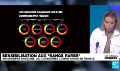 Sangs rares : saviez-vous qu'il existe plus de 390 groupes sanguins dans le monde ?