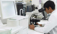 Cellectis présente un profil de pionnier dans le domaine des CAR-T allogéniques. (© Cellectis)
