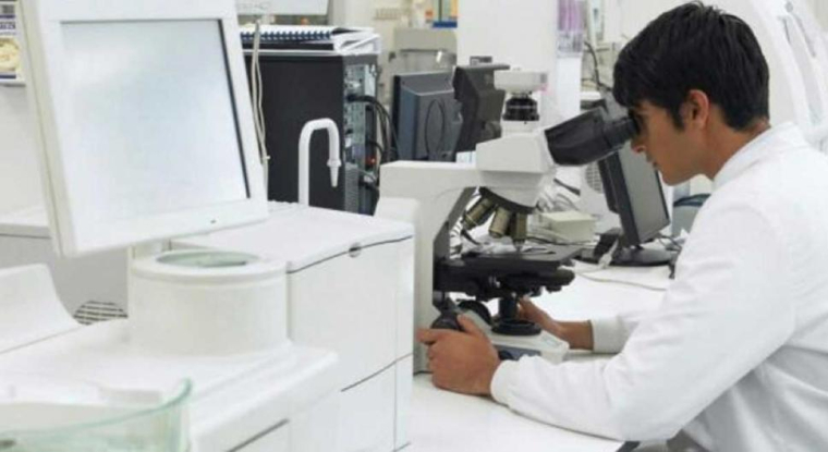 Cellectis présente un profil de pionnier dans le domaine des CAR-T allogéniques. (© Cellectis)