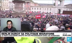 Allemagne : faut-il interdire l'AfD ?