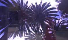 Émission spéciale au Brésil : vers une mode durable (3/3)