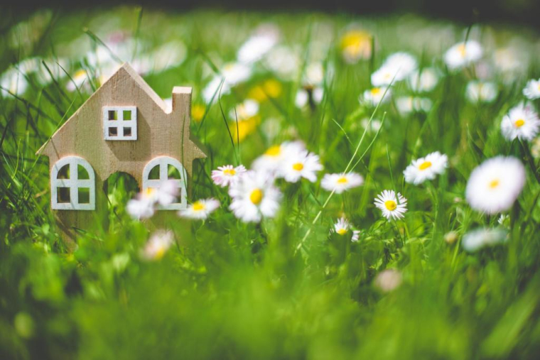 Licvin/Shutterstock / Licvin