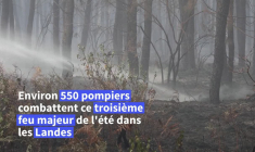 Incendie dans les Landes: "le feu réactivé vers 4h30 du matin", "aucune habitation touchée"