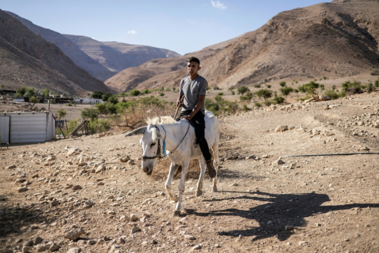 Un jeune bédouin palestinien sur son âne à Ras Ein al-Auja, dans la vallée du Jourdain, en Cisjordanie occupée, le 30 septembre 2025 ( AFP / JOHN WESSELS )