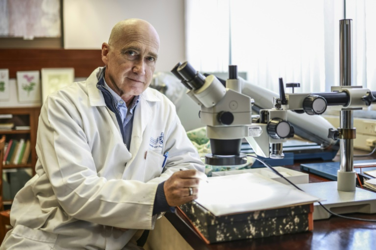 Nigel Barker, professeur en sciences végétales a l’Université de Pretoria, le 3 juin 2025 en Afrique du Sud ( AFP / Phill Magakoe )