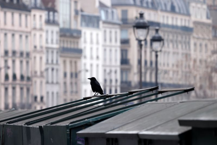 LA CHASSE À LA GLU JUGÉE ILLÉGALE PAR LA COUR DE JUSTICE DE L'UE