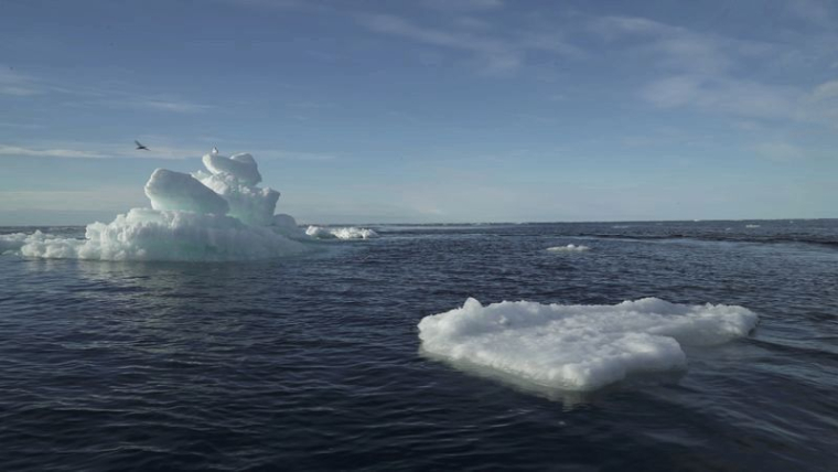 LA BANQUISE ARCTIQUE A ATTEINT SA DEUXIÈME SUPERFICIE LA PLUS FAIBLE