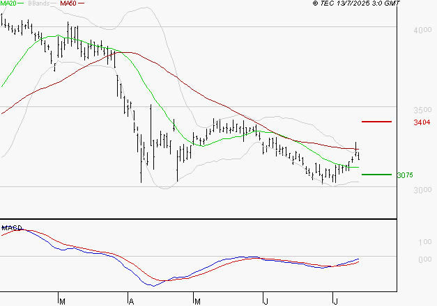DASSAULT SYSTEMES SA : Peu de risque à moyen terme
