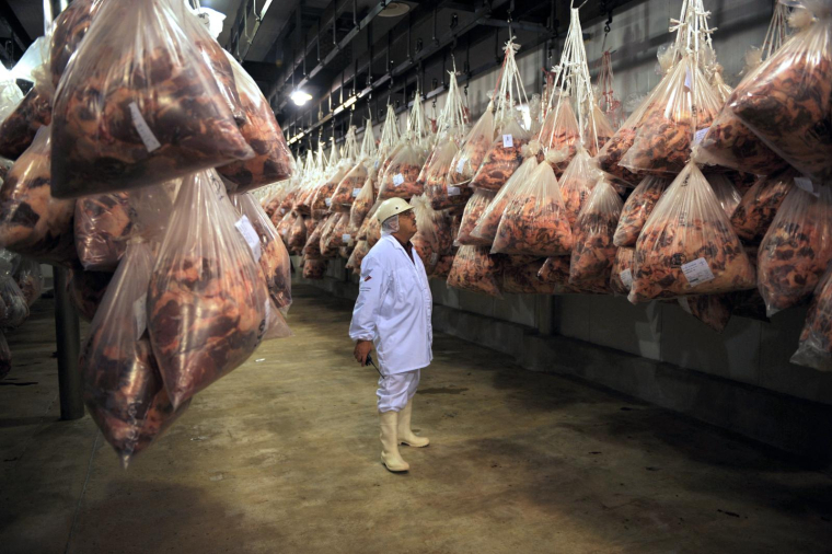 Usine Marfrig à Fray Bentos en Uruguay. ( AFP / MIGUEL ROJO )