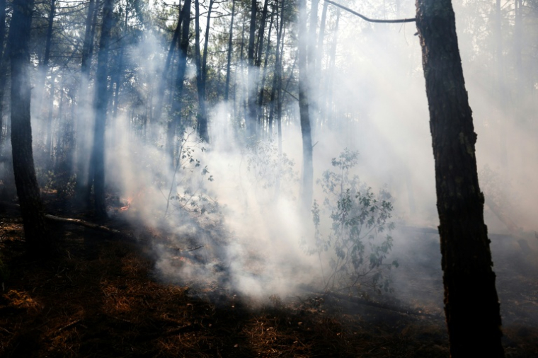 De la fumée s'élève dans une forêt de Lège-Cap-Ferret, le 29 juillet 2026. ( AFP / ROMAIN PERROCHEAU )