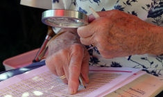 Mieux vaut vérifier les montants préremplis dans sa déclaration de revenus. (illustration) (Sabinevanerp / Pixabay)