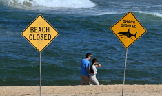 Des promeneurs sur le rivage alors que les plages du nord de Sydney restent fermées après une attaque présumée de requin à Long Reef Beach, le 6 septembre 2025 en Australie ( AFP / Saeed KHAN )