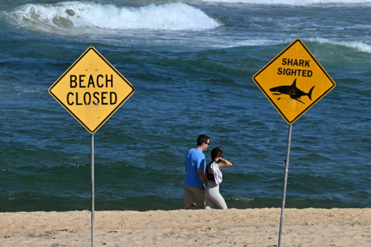 Des promeneurs sur le rivage alors que les plages du nord de Sydney restent fermées après une attaque présumée de requin à Long Reef Beach, le 6 septembre 2025 en Australie ( AFP / Saeed KHAN )