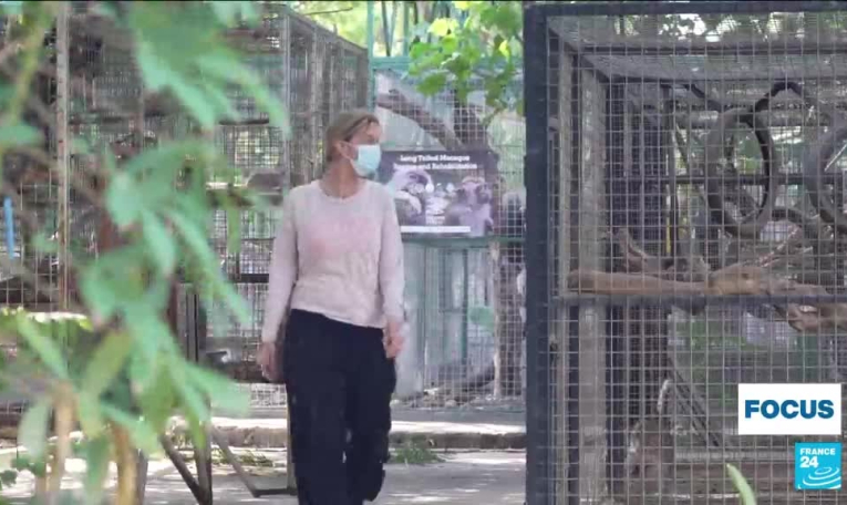 L’Indonésie, plaque tournante du trafic d’animaux sauvages
