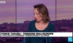 Force Takuba : Tensions entre le Mali et l'Europe