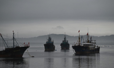 Des navires de pêche chinois à Tailu, en Chine. (illustration) ( AFP / GREG BAKER )
