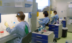Un laboratoire Transgene. (© Transgene)