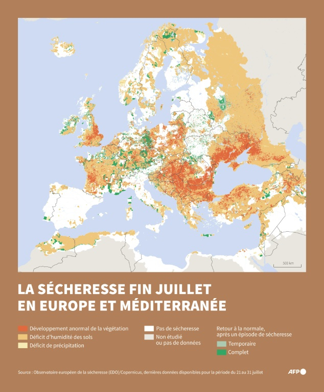 Carte d'Europe et des bords de la Méditerranée localisant les régions touchées par la sécheresse entre le 21 et le 31 juillet 2025, d'après l'Observatoire européen de la sécheresse (EDO-Copernicus) ( AFP / Nalini LEPETIT-CHELLA )