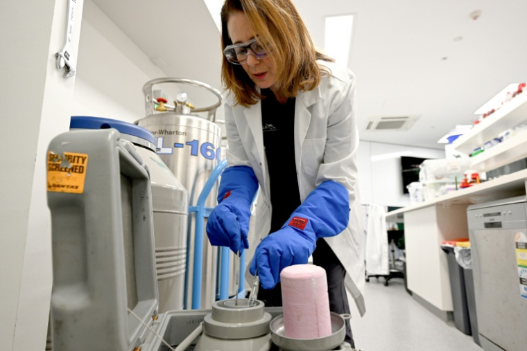 Justine O'Brien, responsable des sciences de la conservation à la Taronga Conservation Society Australia examine des échantillons de gamètes de corail stockés dans un réservoir cryogénique rempli d'azote liquide dans un laboratoire de Sydney, le 29 mai 2025 en Australie ( AFP / Saeed KHAN )