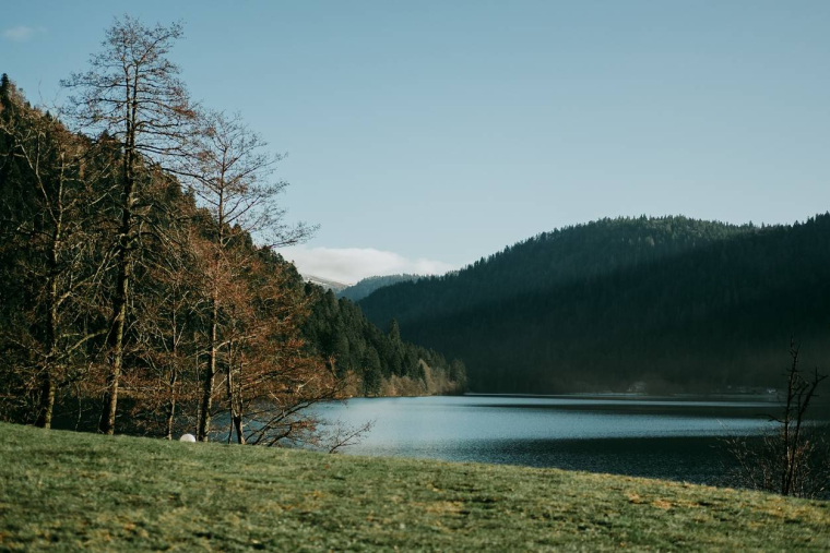 Découvrez le slow living et le glamping en Alsace - iStock-Alice Degremont