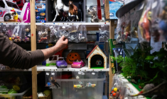 Une employée range des jouets dans La P'tite Boutique, à Chaville, dans les Hauts-de-Seine, le 7 novembre 2025 ( AFP / Julie SEBADELHA )