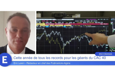 Cette année de tous les records pour les géants du CAC 40