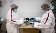 ( AFP / MARTIN BUREAU )