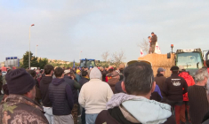 Dermatose: des agriculteurs empruntent l'A9 à Narbonne vers Carcassonne