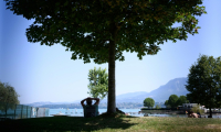 Un homme s'abrite du soleil à l'ombre d'un arbre sur une rive du lac du Bourget, au Bourget-du-Lac, en Savoie le 8 août 2025 ( AFP / JEAN-PHILIPPE KSIAZEK )