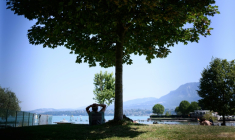 Un homme s'abrite du soleil à l'ombre d'un arbre sur une rive du lac du Bourget, au Bourget-du-Lac, en Savoie le 8 août 2025 ( AFP / JEAN-PHILIPPE KSIAZEK )