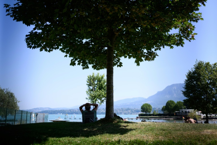 Un homme s'abrite du soleil à l'ombre d'un arbre sur une rive du lac du Bourget, au Bourget-du-Lac, en Savoie le 8 août 2025 ( AFP / JEAN-PHILIPPE KSIAZEK )
