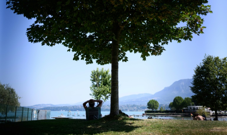 Un homme s'abrite du soleil à l'ombre d'un arbre sur une rive du lac du Bourget, au Bourget-du-Lac, en Savoie le 8 août 2025 ( AFP / JEAN-PHILIPPE KSIAZEK )