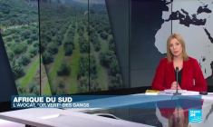 "Reste avec moi", premier roman d'Ayobami Adebayo sur l'infertilité et la polygamie