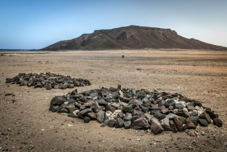 Des fosses communes où reposent des migrants non-identifiés, le 12 avril 2026, sur la plage de Gehere à Djibouti ( AFP / Luis TATO )
