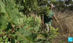 Sécheresse en Espagne : le parc de Doñana, trésor de la biodiversité, est en grand danger