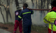 Grèce: les pompiers face aux flammes à Porto Germeno