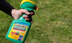 BAYER CONTESTE LE VERDICT À 2 MILLIARDS DE DOLLARS D'UN PROCÈS DU ROUNDUP