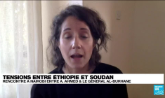 Tensions entre l'Ethiopie et le Soudan : rencontre à Nairobi entre Abiy Ahmed et le général al-Burhane