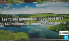 Bola Tinubu, l'influent "parrain de Lagos", élu président du Nigeria