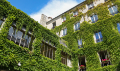 La végétalisation des murs extérieurs est l’une des approches permettant de rafraîchir les bâtiments en créant de l’ombrage. (crédit: Adobe Stock)