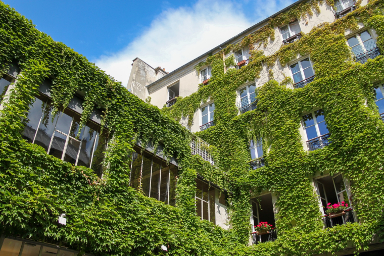 La v&eacute;g&eacute;talisation des murs ext&eacute;rieurs est l&rsquo;une des approches permettant de rafra&icirc;chir les b&acirc;timents en cr&eacute;ant de l&rsquo;ombrage. (cr&eacute;dit: Adobe Stock)