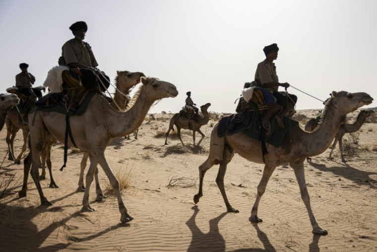 Des membres du Groupement nomade de la Garde nationale mauritanienne patrouillent dans la région de Hodh Ech Chargui (Mauritanie), le 7 avril 2025 ( AFP / PATRICK MEINHARDT )