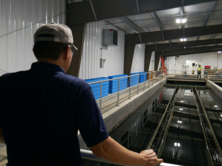 Lance Lin, directeur de la Rare Earth Elements Initiative de l'Université de Virginie-Occidentale, devant les bassins d'une installation de traitement de drainage minier acide, le 12 août 2026 à Mount Storm, en Virginie-Occidentale (Etats-Unis) ( AFP / Pierre HARDY )