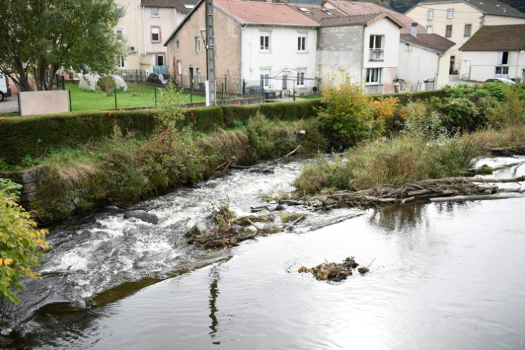 La rivière La Vologne, le 15 octobre 2024 à Docelles, dans les Vosges, dans laquelle le petit Grégory Villemin avait été retrouvé mort le 16 octobre 1984 ( AFP / Jean-Christophe Verhaegen )