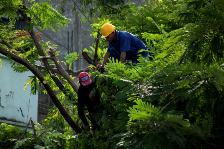 Une équipe élague des arbres avant l’arrivée de l’ouragan Melissa à Santiago de Cuba, le 25 octobre 2025. ( AFP / STRINGER )