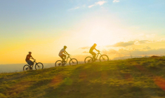 Cyclotourisme : les équipements auxquels il faut penser (Crédits photo : Shutterstock)