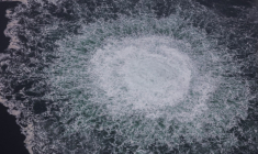 ( SWEDISH COAST GUARD / HANDOUT )