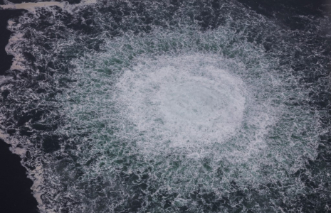 ( SWEDISH COAST GUARD / HANDOUT )